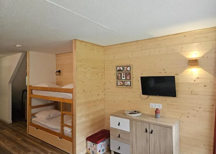 公寓 Au Pied Des Pistes Parking Prive *