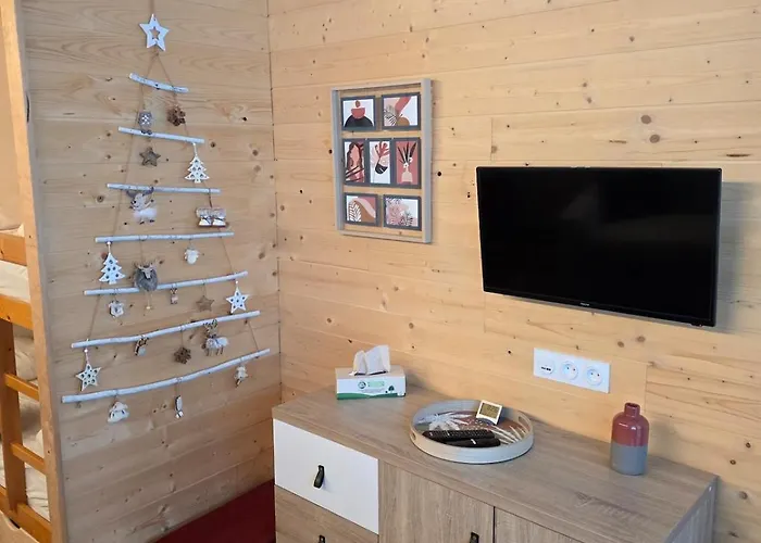 公寓 Au Pied Des Pistes Parking Prive *