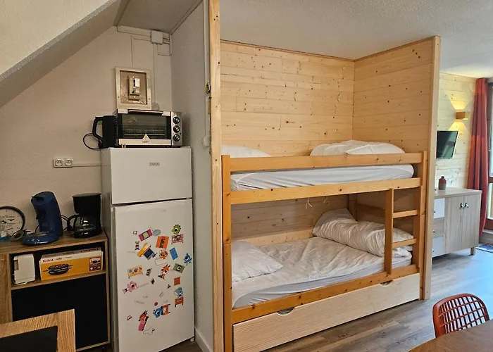 Au Pied Des Pistes Parking Prive 公寓 拉姆吉